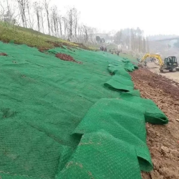 3D geomat covers the riverside slope for reinforcement.