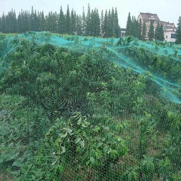 A large forest is covered with anti bird net.