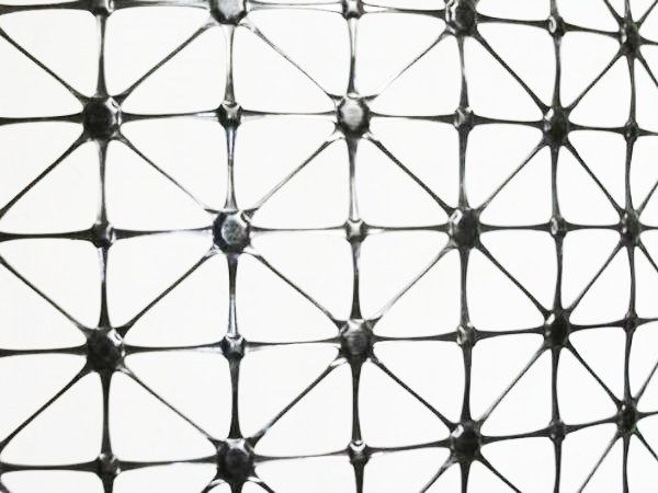 Triangle mesh shape plastic net