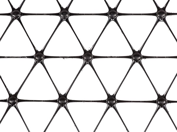 Black geogird on a white background
