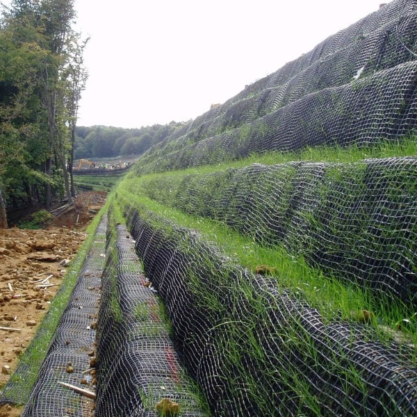 Geogrid Geosynthetic Material with Open GridLike Appearance