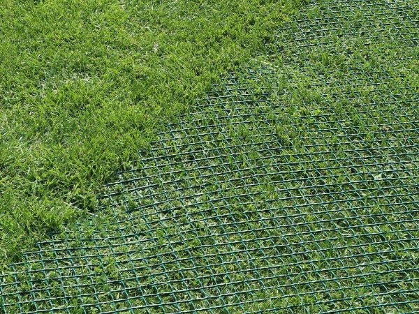 Lawn reinforcement net is placed on the lawn.