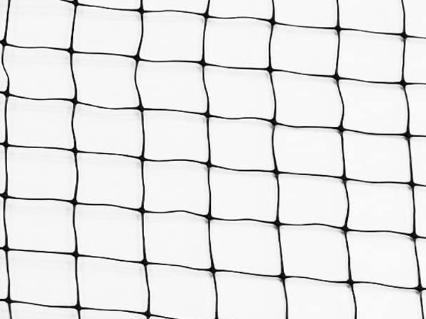 Black plastic bird netting on a white background