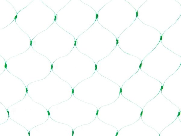 Green plastic bird netting on a white background