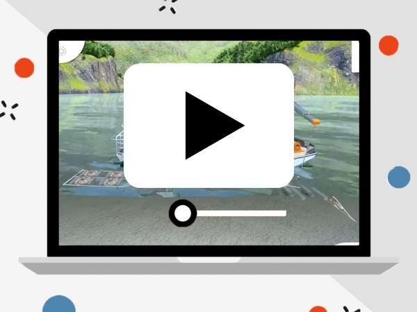 A video is showing the plastic oyster mesh structure.