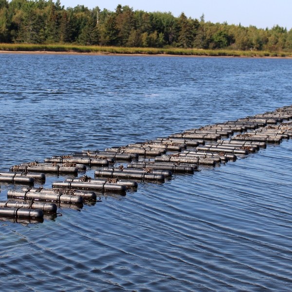 Plastic floating oyster net is floating on the water surface far away.