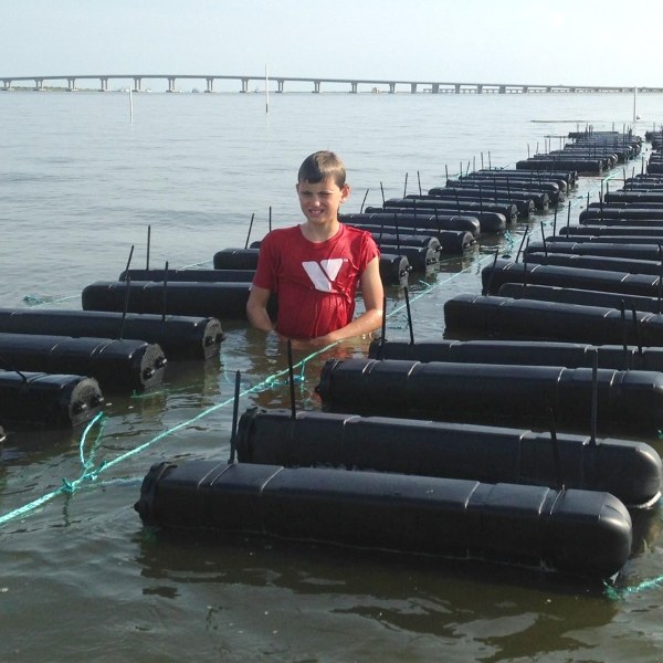 A boy is standing in the middle of many plastic floating oyster nets.