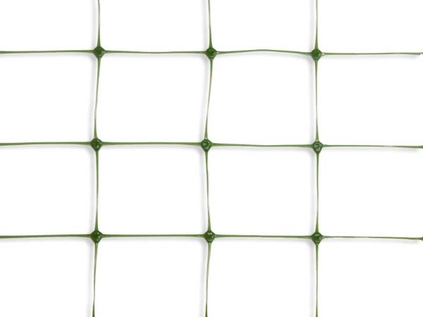Green plastic support net on a white background