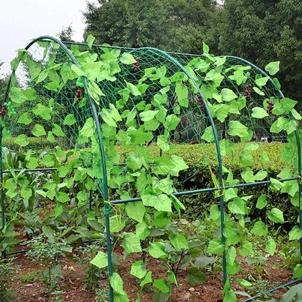 Plants grow well on the plastic plant support net.