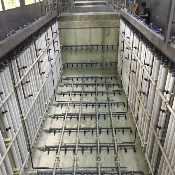 2 rows of electrophoretic anode tubes are placed in the electrophoresis cell.